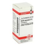 BELLIS PERENNIS C 6 Globuli (PZN 4207181) из Германии