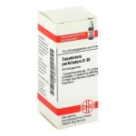 EUPATORIUM PERFOLIATUM D 30 Globuli (PZN 3631617) из Германии