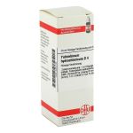 YOHIMBINUM HYDROCHLORICUM D 4 Dilution (PZN 2933776) из Германии