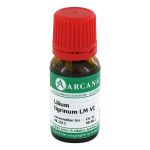 LILIUM TIGRINUM LM 6 Dilution (PZN 3505019) из Германии