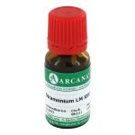 STRAMONIUM LM 30 Dilution (PZN 3502618) из Германии