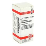 CAUSTICUM HAHNEMANNI C 12 Globuli (PZN 4211231) из Германии
