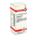 CONIUM D 10 Globuli (PZN 4213715) из Германии