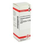 ECHINACEA PURPUREA Urtinktur (PZN 4215967) из Германии