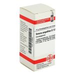 SERUM ANGUILLAE D 12 Globuli (PZN 4236863) из Германии