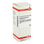 EQUISETUM ARVENSE D 6 Dilution (PZN 4216145) из Германии