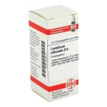LEVISTICUM OFFICINALIS D 6 Globuli (PZN 4224417) из Германии