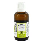 EUPHRASIA F Komplex Nr.282 Dilution (PZN 4777903) из Германии