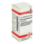 RHUS TOXICODENDRON D 8 Globuli (PZN 4234278) из Германии