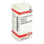 SCILLA D 12 Globuli (PZN 4236047) из Германии