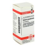 ROBINIA PSEUDACACIA D 12 Globuli (PZN 4234611) из Германии