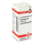 EUPHORBIUM D 6 Globuli (PZN 4216487) из Германии