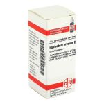 EQUISETUM ARVENSE D 4 Globuli (PZN 4216151) из Германии