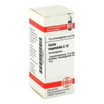 CARBO VEGETABILIS C 12 Globuli (PZN 7163515) из Германии