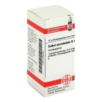 SABAL SERRULATUM D 4 Globuli (PZN 4235326) из Германии