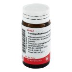 CARTILAGO/Echinacea comp.Globuli (PZN 8784946) из Германии