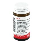 LEVISTICUM E radice D 6 Globuli (PZN 8786448) из Германии