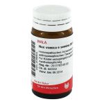 NUX VOMICA E semine D 6 Globuli (PZN 8786804) из Германии