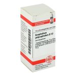 GNAPHALIUM POLYCEPHALUM D 12 Globuli (PZN 7247577) из Германии