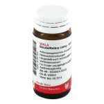SECALE RETINA comp.Globuli (PZN 8787703) из Германии