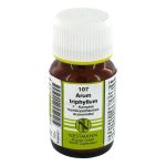 ARUM TRIPHYLLUM F Komplex Nr.107 Tabletten (PZN 4484621) из Германии