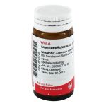 ARGENTUM/ROHRZUCKER Globuli (PZN 8783728) из Германии