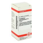 GNAPHALIUM POLYCEPHALUM D 12 Tabletten (PZN 7168955) из Германии