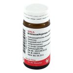 ECHINACEA/ARGENTUM Globuli (PZN 8785710) из Германии