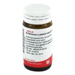 ECHINACEA E planta tota D 3 Globuli (PZN 8785696) из Германии