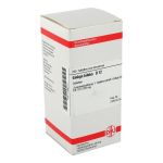 GINKGO BILOBA D 12 Tabletten (PZN 7168777) из Германии