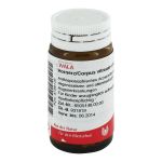 HORNERZ/Corpus vitreum comp.Globuli (PZN 8786129) из Германии