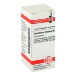 EQUISETUM ARVENSE D 6 Globuli (PZN 7167186) из Германии