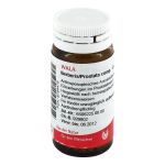 BERBERIS/PROSTATA comp.Globuli (PZN 8784478) из Германии