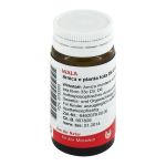 ARNICA E Planta tota D 6 Globuli (PZN 8783800) из Германии