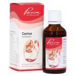CACTUS SIMILIAPLEX Tropfen (PZN 1350920) из Германии