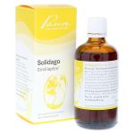 SOLIDAGO SIMILIAPLEX Tropfen (PZN 5463791) из Германии