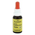 BACHBLÜTEN Murnauer Tropfen Gentian (PZN 7752393) из Германии