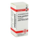 PERILLA OCYMOIDES D 3 Globuli (PZN 1853845) из Германии