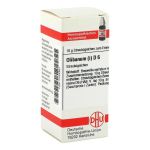 OLIBANUM I D 6 Globuli (PZN 154387) из Германии