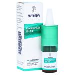 CHELIDONIUM AUGENTROPFEN Rh D 4 (PZN 1613360) из Германии