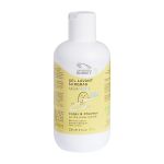 ALGA NATIS rückfettendes Waschgel BABY Bio LdB (PZN 16586953) из Германии