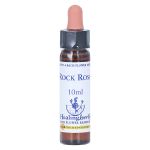 BACHBLÜTEN Rock Rose Healing Herbs Tropfen (PZN 7363734) из Германии