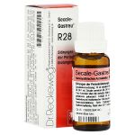 SECALE-GASTREU R28 Mischung (PZN 1372910) из Германии