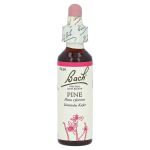 Bachblüten Pine Tropfen (PZN 125925) из Германии