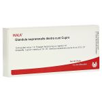 GLANDULA SUPRARENALES dextra cum Cupro Ampullen (PZN 1751518) из Германии