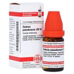 LM ROBINIA pseudoacacia VI Dilution (PZN 4498244) из Германии