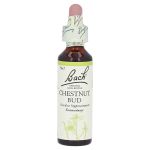 Bachblüten Chestnut Bud Tropfen (PZN 47734) из Германии