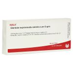 GLANDULA SUPRARENALIS sinistra cum Cupro Ampullen (PZN 1751524) из Германии