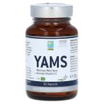 YAMS Kapseln (PZN 692819) из Германии