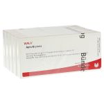 APIS BRYONIA Ampullen (PZN 2084685) из Германии